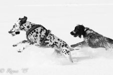 20151213-IMG_4043.jpg
