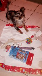 20151215_180225.jpg