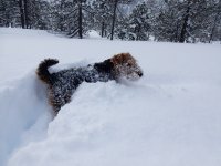 Geburtstag im Schnee Langis 8.3.16 052.JPG