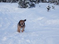 Geburtstag im Schnee Langis 8.3.16 102.JPG