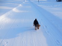 Geburtstag im Schnee Langis 8.3.16 167.JPG