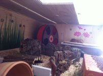 IMG_0223 - Kopie.JPG