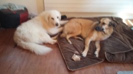 20160629_170525.jpg