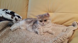 20161017_154535.jpg