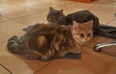 20161020_223557 (Copy).jpg