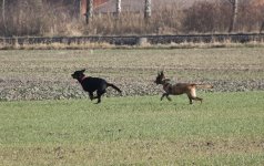 IMG_0831.jpg
