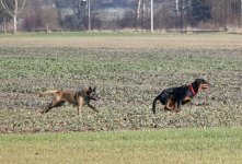 IMG_0838.jpg