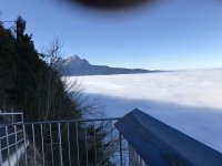230.JPG