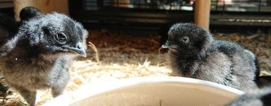 _20180430_111331-800x313.jpg
