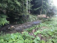 IMG_8228.JPG