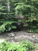 IMG_8229.JPG