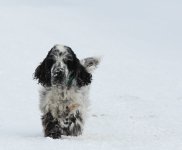 IMG_8076.jpg