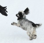 IMG_8100.jpg