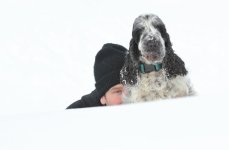 IMG_8119.jpg