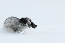 IMG_8183.jpg