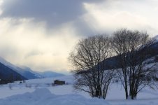 IMG_8200.jpg