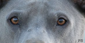 IMG_0349.jpg