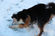 img0189wt.jpg