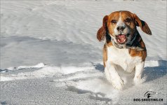 _MG_2812-Kopie.jpg